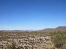 photo thumbnail #8
