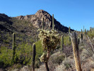 photo thumbnail #8