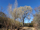 photo thumbnail #10