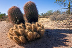photo thumbnail #2