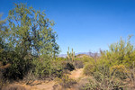 photo thumbnail #6