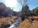 photo thumbnail #8