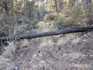 photo thumbnail #3
