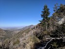 photo thumbnail #10