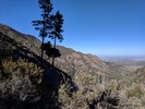 photo thumbnail #12