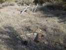 photo thumbnail #5