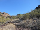 photo thumbnail #6
