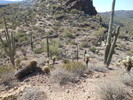 photo thumbnail #7