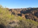 photo thumbnail #3