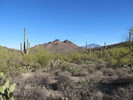 photo thumbnail #5