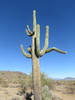 photo thumbnail #3