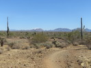 photo thumbnail #5