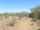 photo thumbnail #8