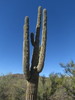 photo thumbnail #10