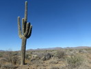 photo thumbnail #14