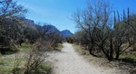 photo thumbnail #11