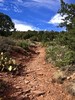 photo thumbnail #15