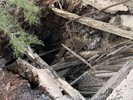 photo thumbnail #9