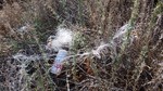 photo thumbnail #4