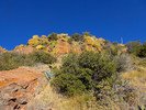 photo thumbnail #3