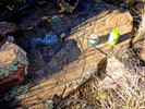 photo thumbnail #10