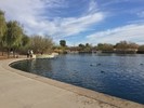 photo thumbnail #1