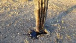 photo thumbnail #3