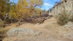 photo thumbnail #13