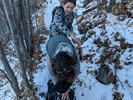 photo thumbnail #4