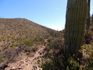 photo thumbnail #2