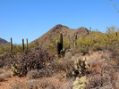 photo thumbnail #6
