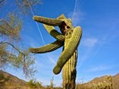 photo thumbnail #8