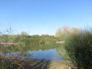 photo thumbnail #8