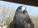 photo thumbnail #13