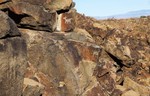 photo thumbnail #2