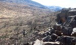 photo thumbnail #6