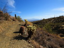 photo thumbnail #11