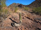 photo thumbnail #5