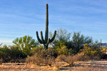 photo thumbnail #1