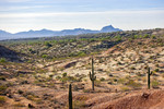 photo thumbnail #6