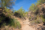 photo thumbnail #13