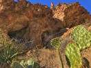 photo thumbnail #12