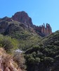 photo thumbnail #2