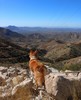 photo thumbnail #3