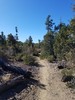 photo thumbnail #9