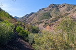 photo thumbnail #2
