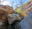 photo thumbnail #7