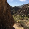 photo thumbnail #5
