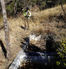 photo thumbnail #2
