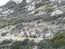 photo thumbnail #10